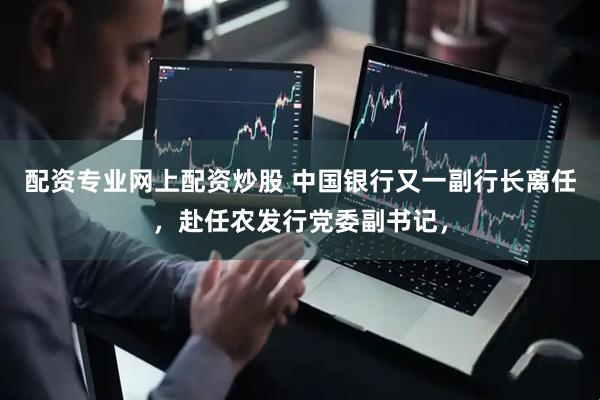 配资专业网上配资炒股 中国银行又一副行长离任,赴任农发行党委副书记,