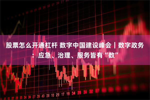 股票怎么开通杠杆 数字中国建设峰会｜数字政务：应急、治理、服务皆有“数”